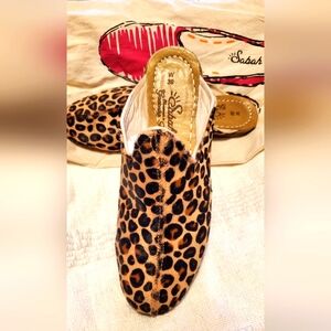 Sabah Babas -Leopard sz 7
